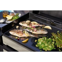 Plancha électrique Forge Adour PREMIUM 60 Acier Noir Et Gris -Grill Passion Promos Boutique cuisson plancha premium 1